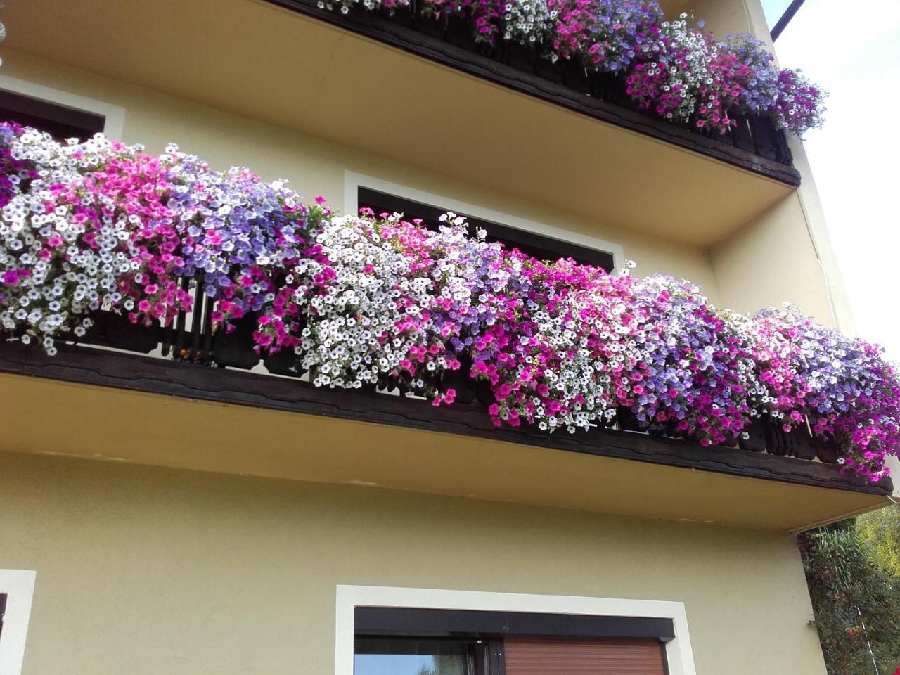 Appartement - Ferienwohnungen - Gaestehaus Gabriele Дроболлах-ам-Фаакер-Зее Экстерьер фото